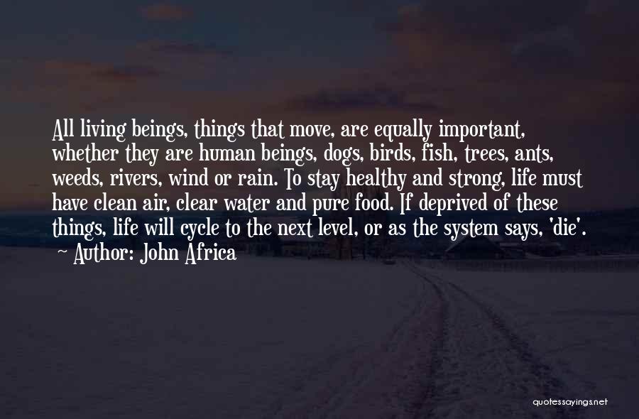 John Africa Quotes: All Living Beings, Things That Move, Are Equally Important, Whether They Are Human Beings, Dogs, Birds, Fish, Trees, Ants, Weeds,