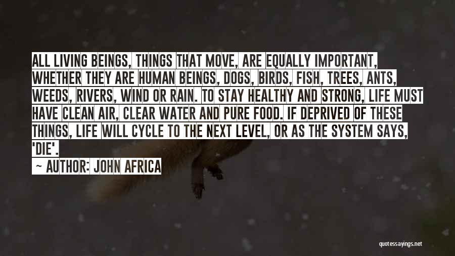 John Africa Quotes: All Living Beings, Things That Move, Are Equally Important, Whether They Are Human Beings, Dogs, Birds, Fish, Trees, Ants, Weeds,