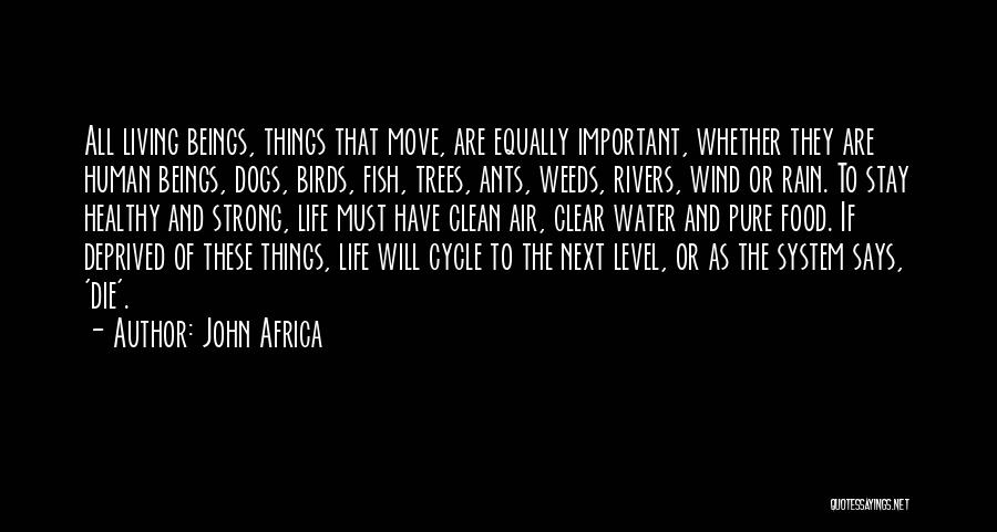 John Africa Quotes: All Living Beings, Things That Move, Are Equally Important, Whether They Are Human Beings, Dogs, Birds, Fish, Trees, Ants, Weeds,