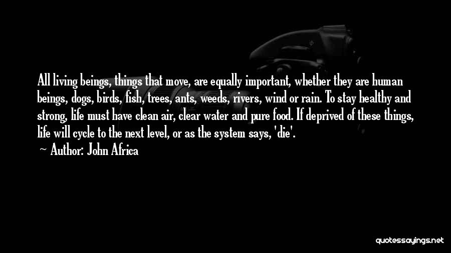 John Africa Quotes: All Living Beings, Things That Move, Are Equally Important, Whether They Are Human Beings, Dogs, Birds, Fish, Trees, Ants, Weeds,