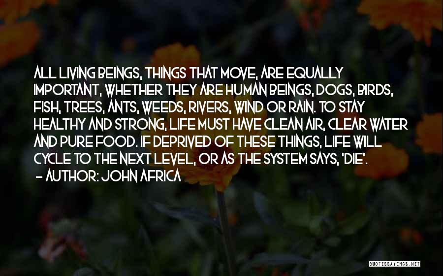 John Africa Quotes: All Living Beings, Things That Move, Are Equally Important, Whether They Are Human Beings, Dogs, Birds, Fish, Trees, Ants, Weeds,