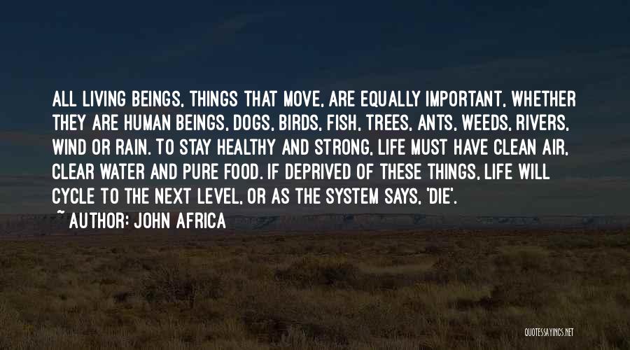 John Africa Quotes: All Living Beings, Things That Move, Are Equally Important, Whether They Are Human Beings, Dogs, Birds, Fish, Trees, Ants, Weeds,