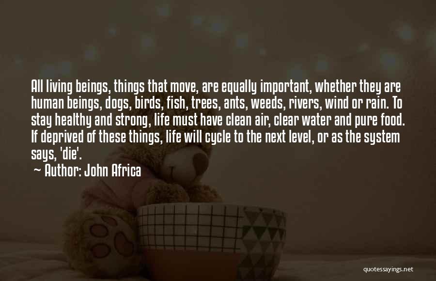 John Africa Quotes: All Living Beings, Things That Move, Are Equally Important, Whether They Are Human Beings, Dogs, Birds, Fish, Trees, Ants, Weeds,