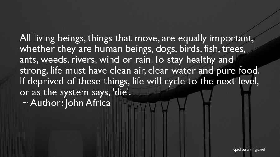 John Africa Quotes: All Living Beings, Things That Move, Are Equally Important, Whether They Are Human Beings, Dogs, Birds, Fish, Trees, Ants, Weeds,