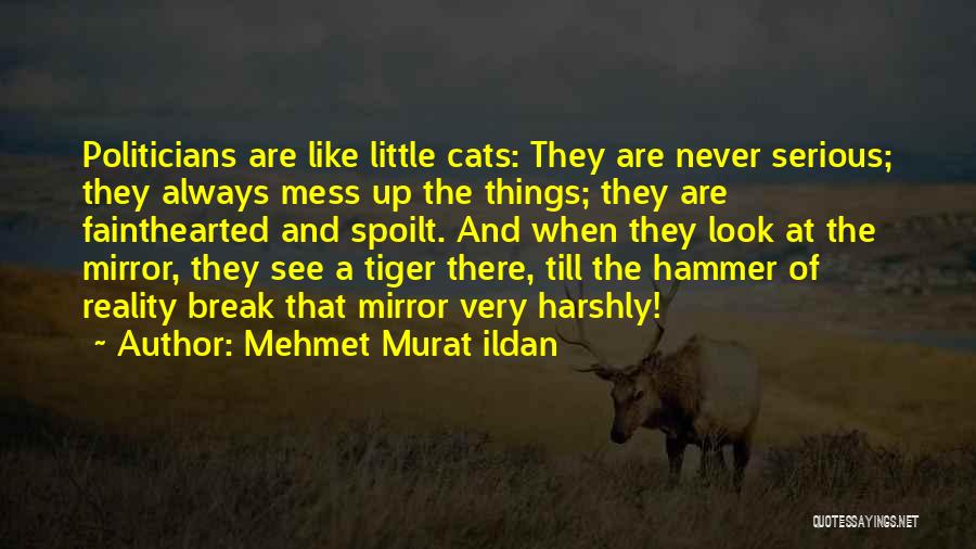 Mehmet Murat Ildan Quotes: Politicians Are Like Little Cats: They Are Never Serious; They Always Mess Up The Things; They Are Fainthearted And Spoilt.