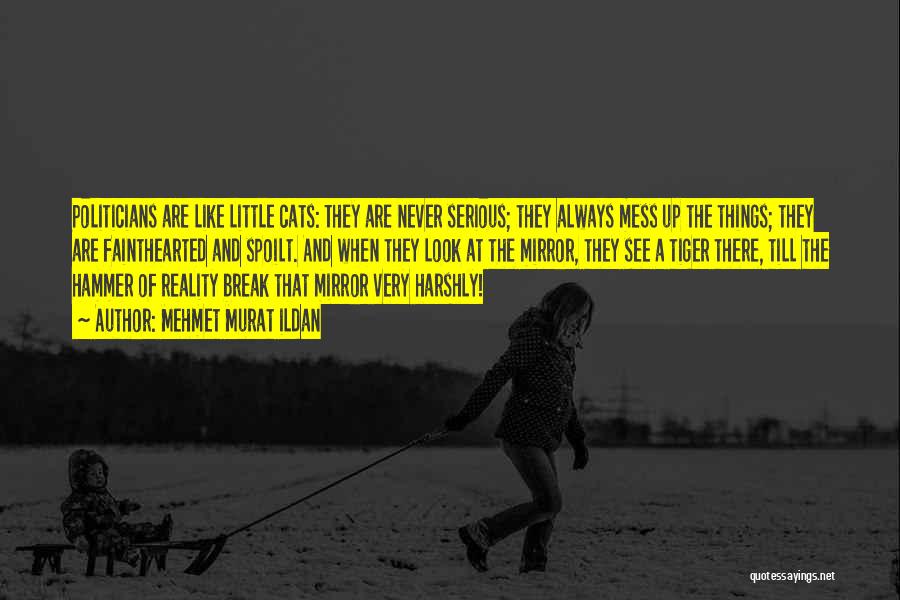 Mehmet Murat Ildan Quotes: Politicians Are Like Little Cats: They Are Never Serious; They Always Mess Up The Things; They Are Fainthearted And Spoilt.