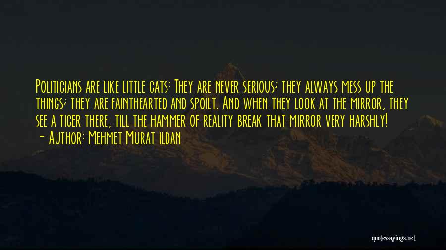 Mehmet Murat Ildan Quotes: Politicians Are Like Little Cats: They Are Never Serious; They Always Mess Up The Things; They Are Fainthearted And Spoilt.