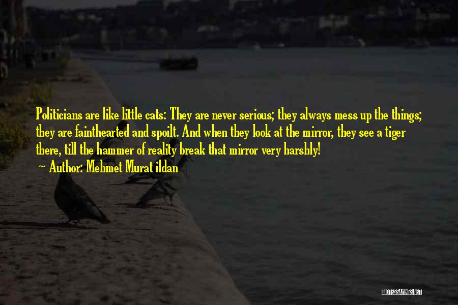 Mehmet Murat Ildan Quotes: Politicians Are Like Little Cats: They Are Never Serious; They Always Mess Up The Things; They Are Fainthearted And Spoilt.