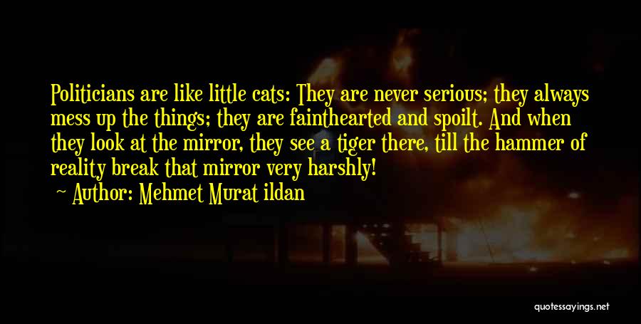 Mehmet Murat Ildan Quotes: Politicians Are Like Little Cats: They Are Never Serious; They Always Mess Up The Things; They Are Fainthearted And Spoilt.