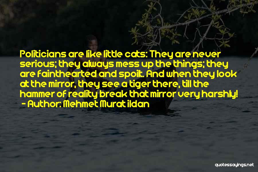 Mehmet Murat Ildan Quotes: Politicians Are Like Little Cats: They Are Never Serious; They Always Mess Up The Things; They Are Fainthearted And Spoilt.
