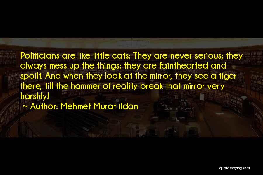 Mehmet Murat Ildan Quotes: Politicians Are Like Little Cats: They Are Never Serious; They Always Mess Up The Things; They Are Fainthearted And Spoilt.