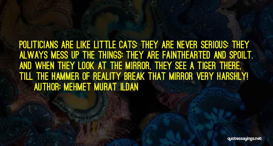 Mehmet Murat Ildan Quotes: Politicians Are Like Little Cats: They Are Never Serious; They Always Mess Up The Things; They Are Fainthearted And Spoilt.