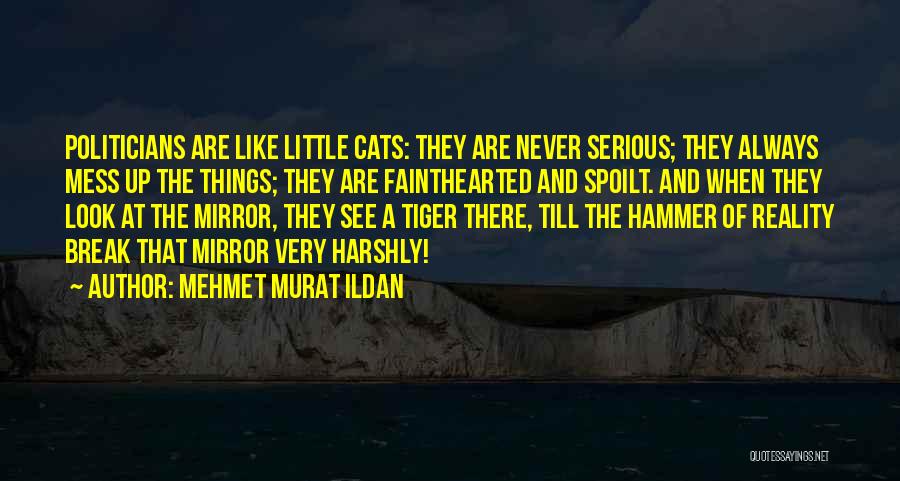 Mehmet Murat Ildan Quotes: Politicians Are Like Little Cats: They Are Never Serious; They Always Mess Up The Things; They Are Fainthearted And Spoilt.