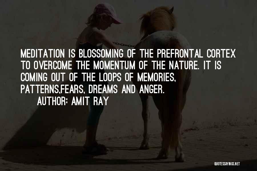 Amit Ray Quotes: Meditation Is Blossoming Of The Prefrontal Cortex To Overcome The Momentum Of The Nature. It Is Coming Out Of The