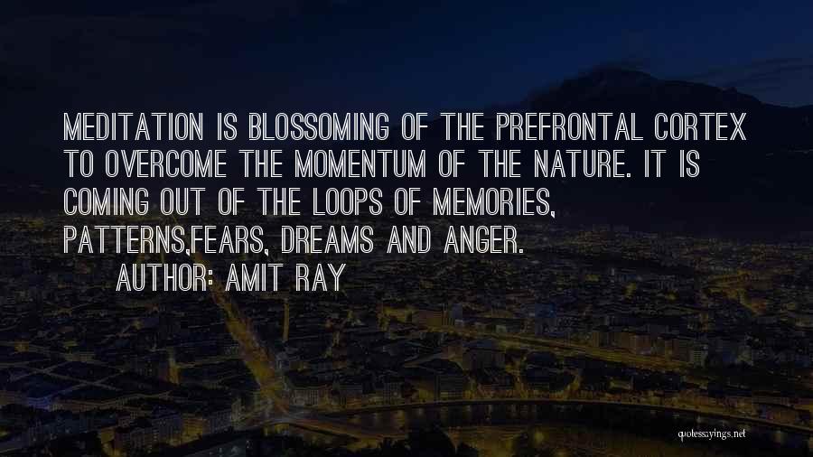 Amit Ray Quotes: Meditation Is Blossoming Of The Prefrontal Cortex To Overcome The Momentum Of The Nature. It Is Coming Out Of The