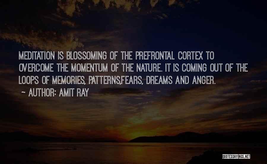 Amit Ray Quotes: Meditation Is Blossoming Of The Prefrontal Cortex To Overcome The Momentum Of The Nature. It Is Coming Out Of The
