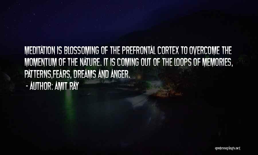 Amit Ray Quotes: Meditation Is Blossoming Of The Prefrontal Cortex To Overcome The Momentum Of The Nature. It Is Coming Out Of The