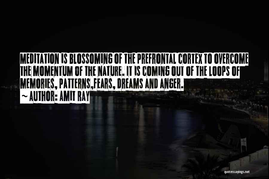 Amit Ray Quotes: Meditation Is Blossoming Of The Prefrontal Cortex To Overcome The Momentum Of The Nature. It Is Coming Out Of The