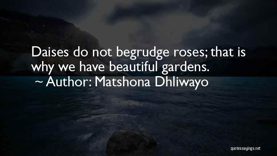 Matshona Dhliwayo Quotes: Daises Do Not Begrudge Roses; That Is Why We Have Beautiful Gardens.