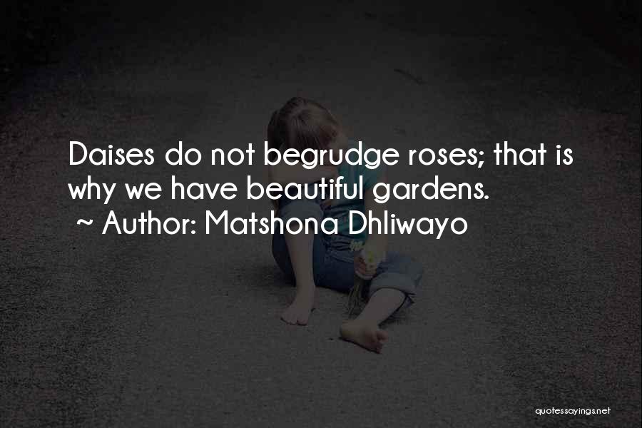 Matshona Dhliwayo Quotes: Daises Do Not Begrudge Roses; That Is Why We Have Beautiful Gardens.