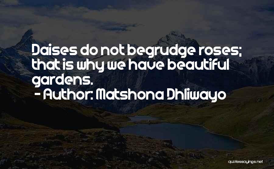 Matshona Dhliwayo Quotes: Daises Do Not Begrudge Roses; That Is Why We Have Beautiful Gardens.