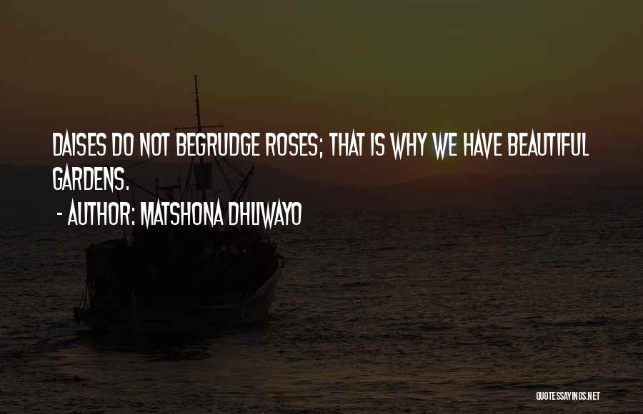 Matshona Dhliwayo Quotes: Daises Do Not Begrudge Roses; That Is Why We Have Beautiful Gardens.