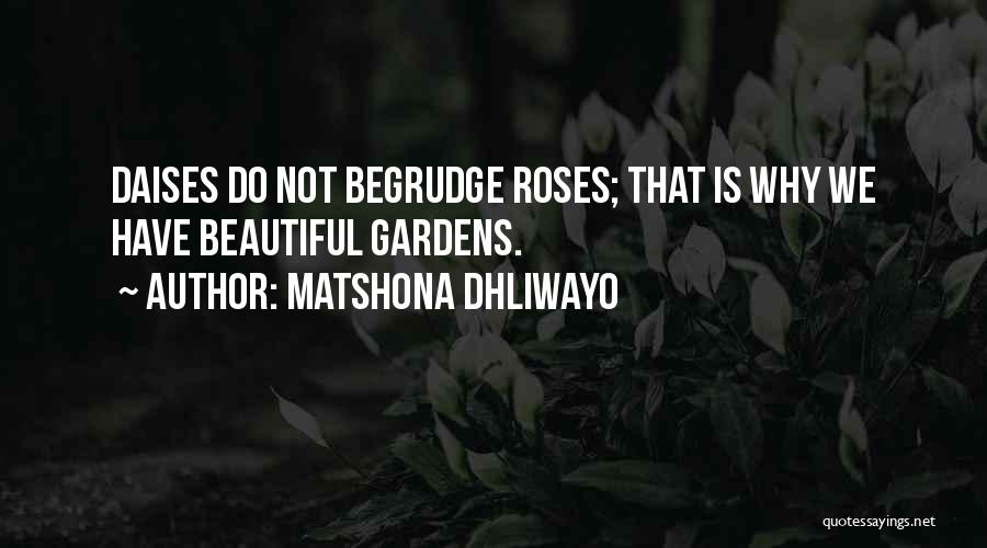 Matshona Dhliwayo Quotes: Daises Do Not Begrudge Roses; That Is Why We Have Beautiful Gardens.