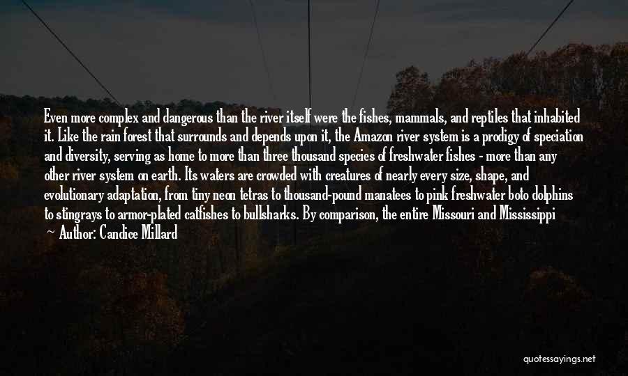 Candice Millard Quotes: Even More Complex And Dangerous Than The River Itself Were The Fishes, Mammals, And Reptiles That Inhabited It. Like The