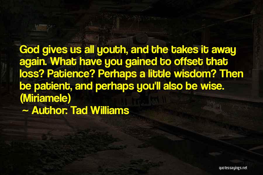 Tad Williams Quotes: God Gives Us All Youth, And The Takes It Away Again. What Have You Gained To Offset That Loss? Patience?