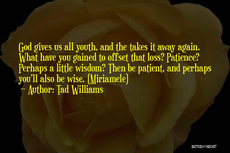 Tad Williams Quotes: God Gives Us All Youth, And The Takes It Away Again. What Have You Gained To Offset That Loss? Patience?