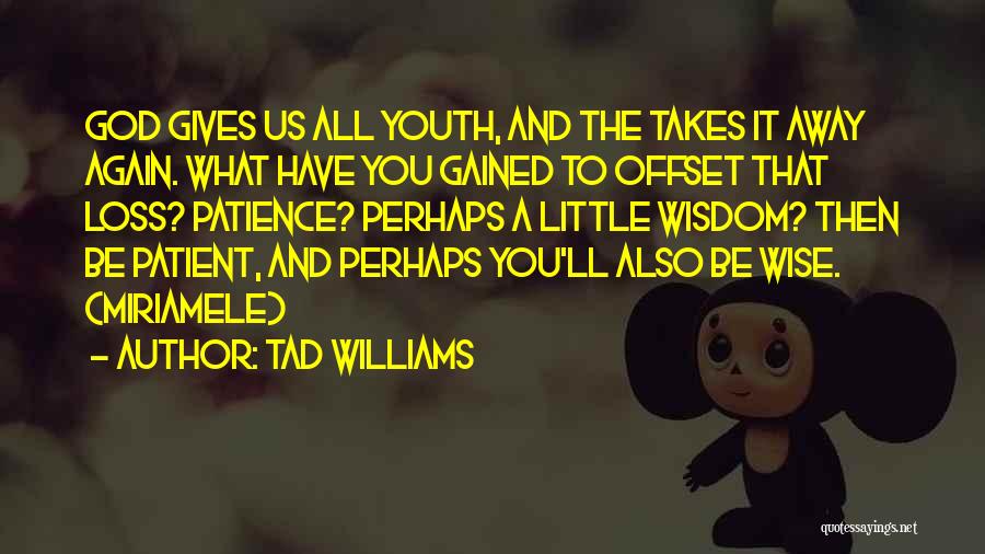 Tad Williams Quotes: God Gives Us All Youth, And The Takes It Away Again. What Have You Gained To Offset That Loss? Patience?