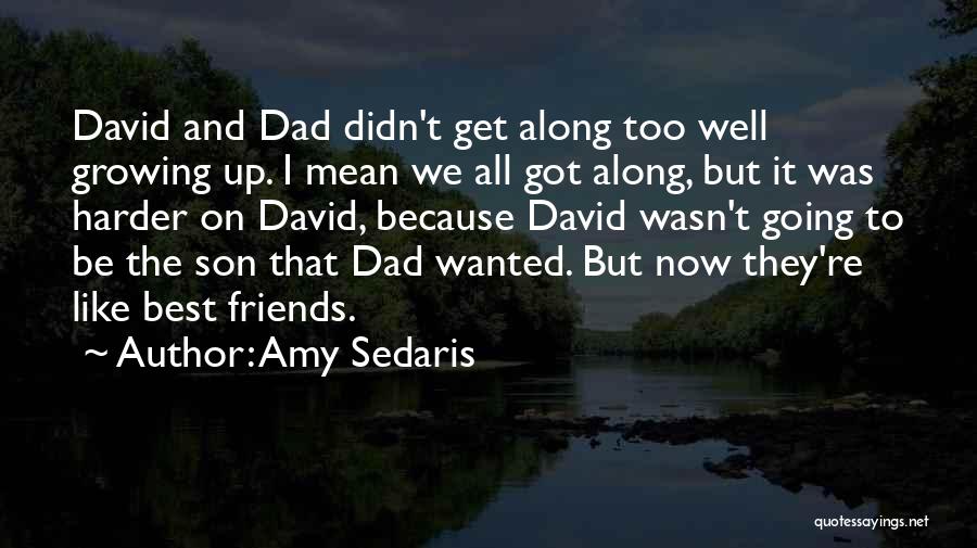 Amy Sedaris Quotes: David And Dad Didn't Get Along Too Well Growing Up. I Mean We All Got Along, But It Was Harder