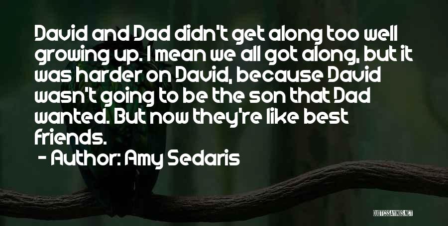 Amy Sedaris Quotes: David And Dad Didn't Get Along Too Well Growing Up. I Mean We All Got Along, But It Was Harder