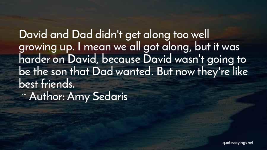 Amy Sedaris Quotes: David And Dad Didn't Get Along Too Well Growing Up. I Mean We All Got Along, But It Was Harder