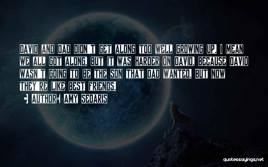 Amy Sedaris Quotes: David And Dad Didn't Get Along Too Well Growing Up. I Mean We All Got Along, But It Was Harder