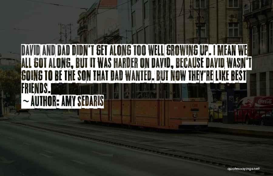 Amy Sedaris Quotes: David And Dad Didn't Get Along Too Well Growing Up. I Mean We All Got Along, But It Was Harder