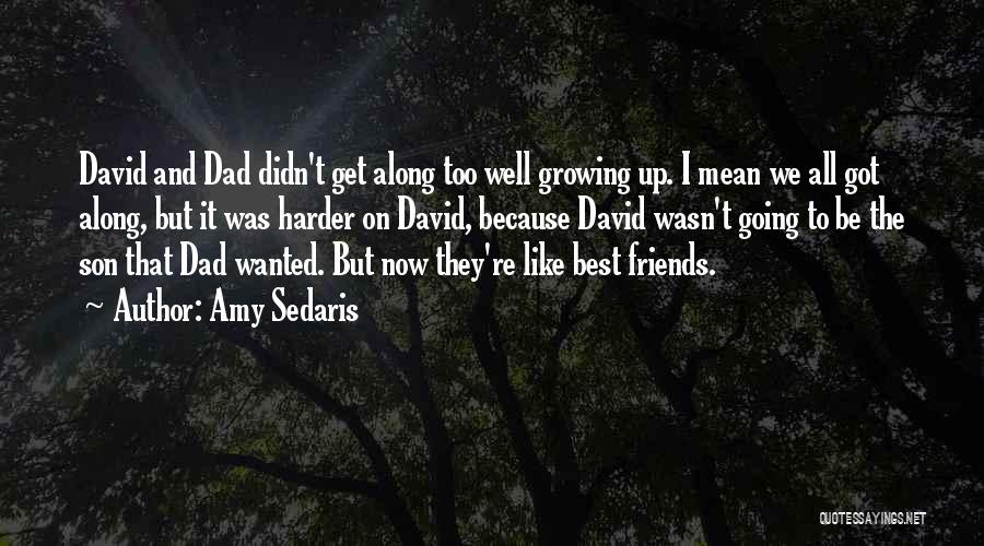 Amy Sedaris Quotes: David And Dad Didn't Get Along Too Well Growing Up. I Mean We All Got Along, But It Was Harder