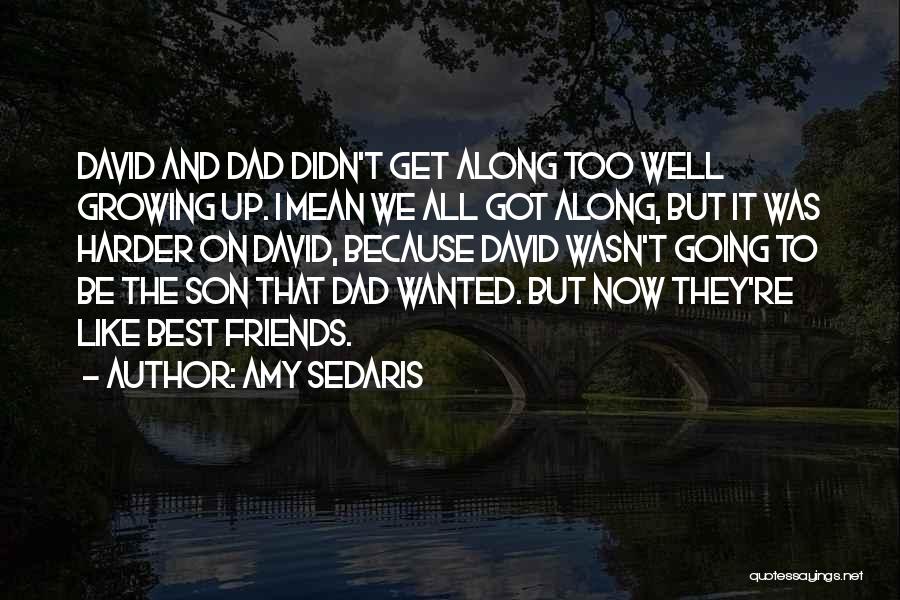 Amy Sedaris Quotes: David And Dad Didn't Get Along Too Well Growing Up. I Mean We All Got Along, But It Was Harder