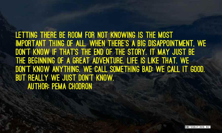 Pema Chodron Quotes: Letting There Be Room For Not Knowing Is The Most Important Thing Of All. When There's A Big Disappointment, We
