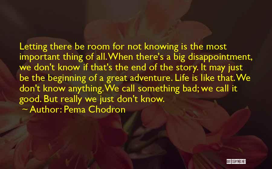 Pema Chodron Quotes: Letting There Be Room For Not Knowing Is The Most Important Thing Of All. When There's A Big Disappointment, We