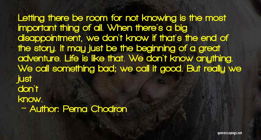 Pema Chodron Quotes: Letting There Be Room For Not Knowing Is The Most Important Thing Of All. When There's A Big Disappointment, We