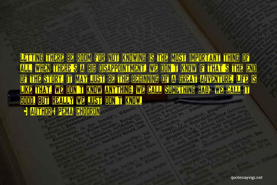 Pema Chodron Quotes: Letting There Be Room For Not Knowing Is The Most Important Thing Of All. When There's A Big Disappointment, We