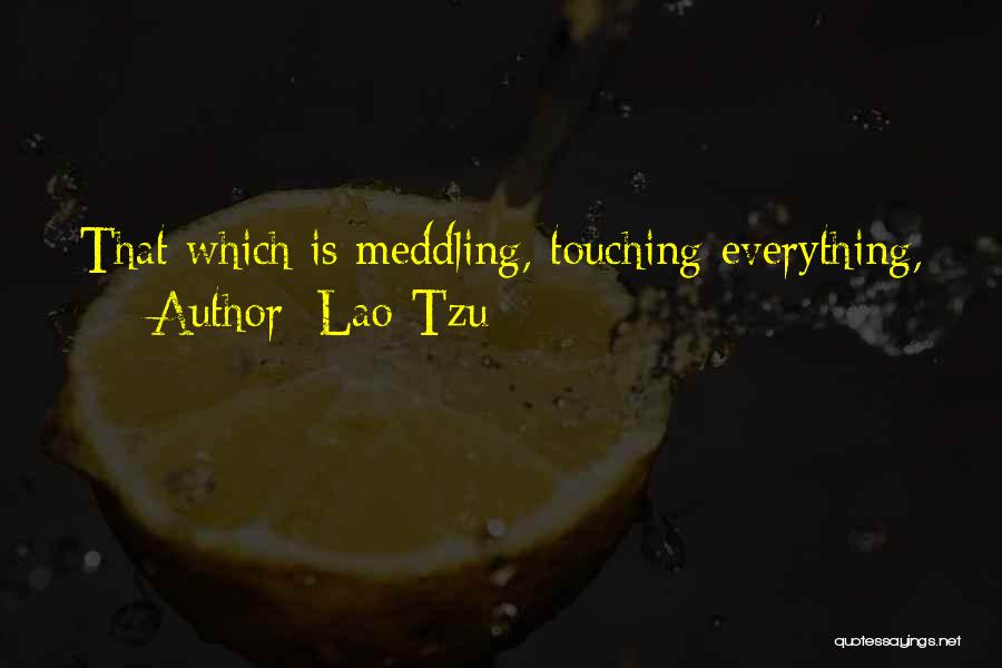 Lao-Tzu Quotes: That Which Is Meddling, Touching Everything,