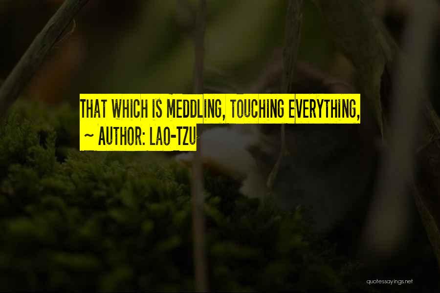 Lao-Tzu Quotes: That Which Is Meddling, Touching Everything,