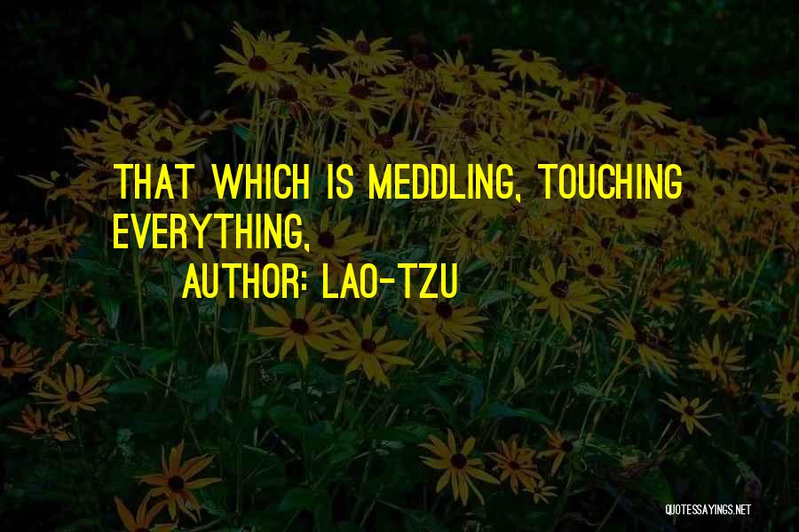 Lao-Tzu Quotes: That Which Is Meddling, Touching Everything,