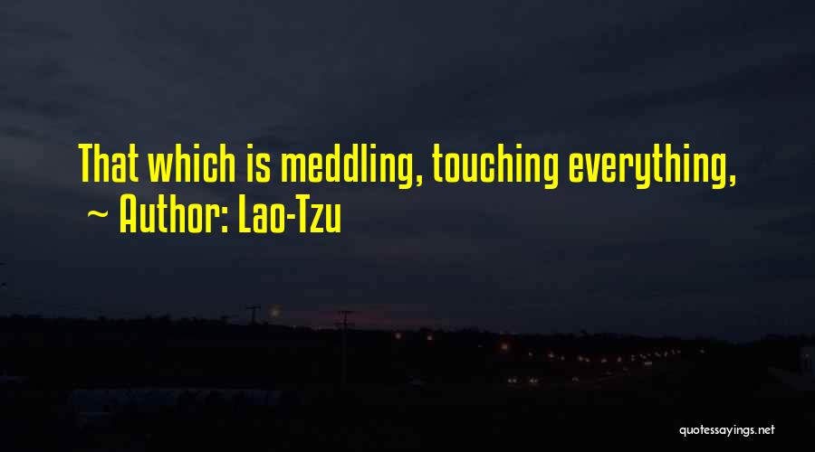 Lao-Tzu Quotes: That Which Is Meddling, Touching Everything,