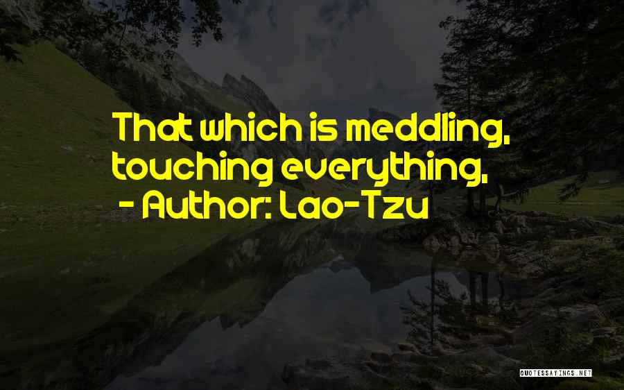 Lao-Tzu Quotes: That Which Is Meddling, Touching Everything,