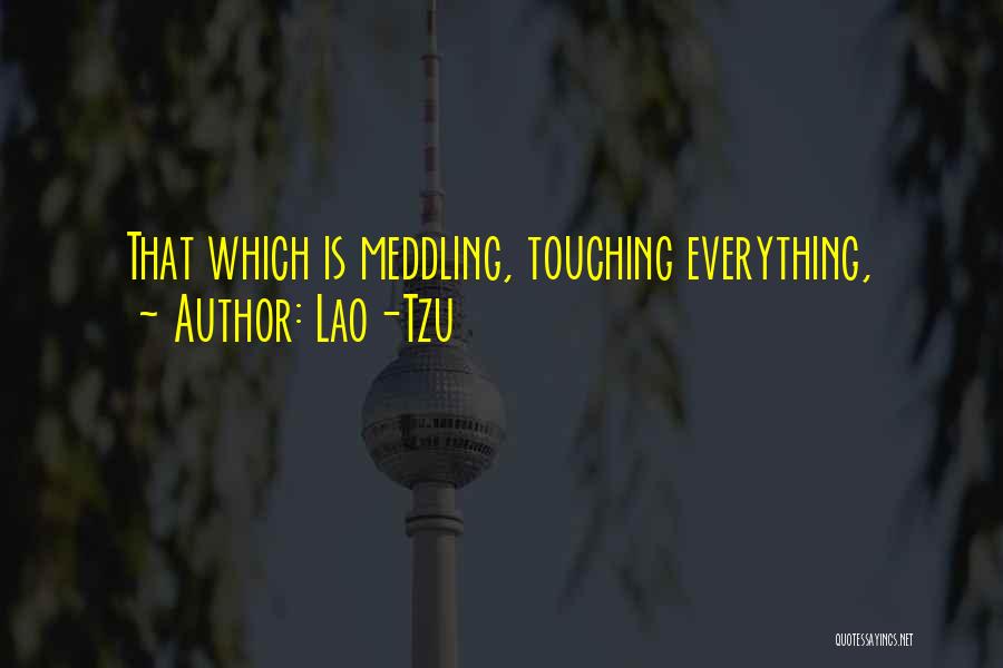 Lao-Tzu Quotes: That Which Is Meddling, Touching Everything,