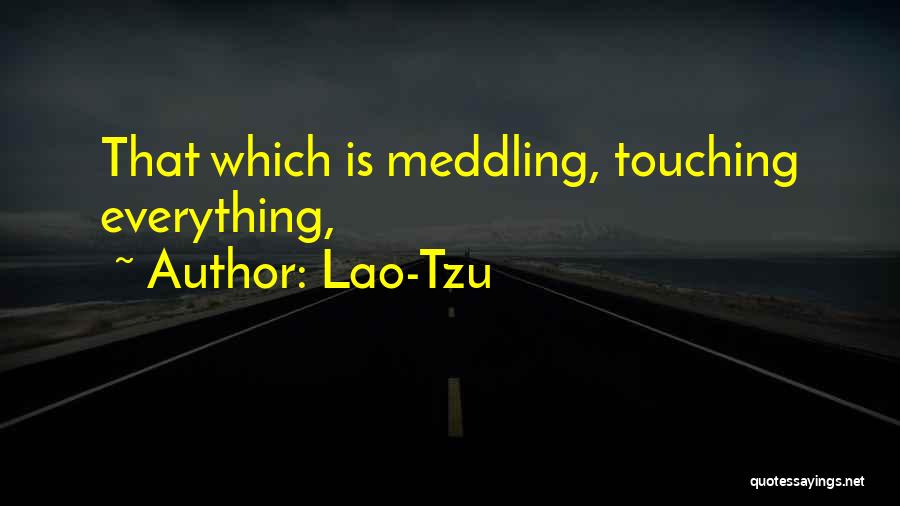 Lao-Tzu Quotes: That Which Is Meddling, Touching Everything,