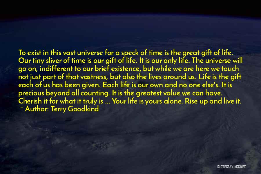 Terry Goodkind Quotes: To Exist In This Vast Universe For A Speck Of Time Is The Great Gift Of Life. Our Tiny Sliver